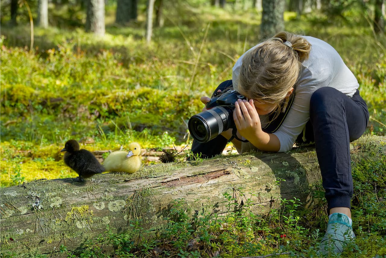 Leisure Options for the Photographer