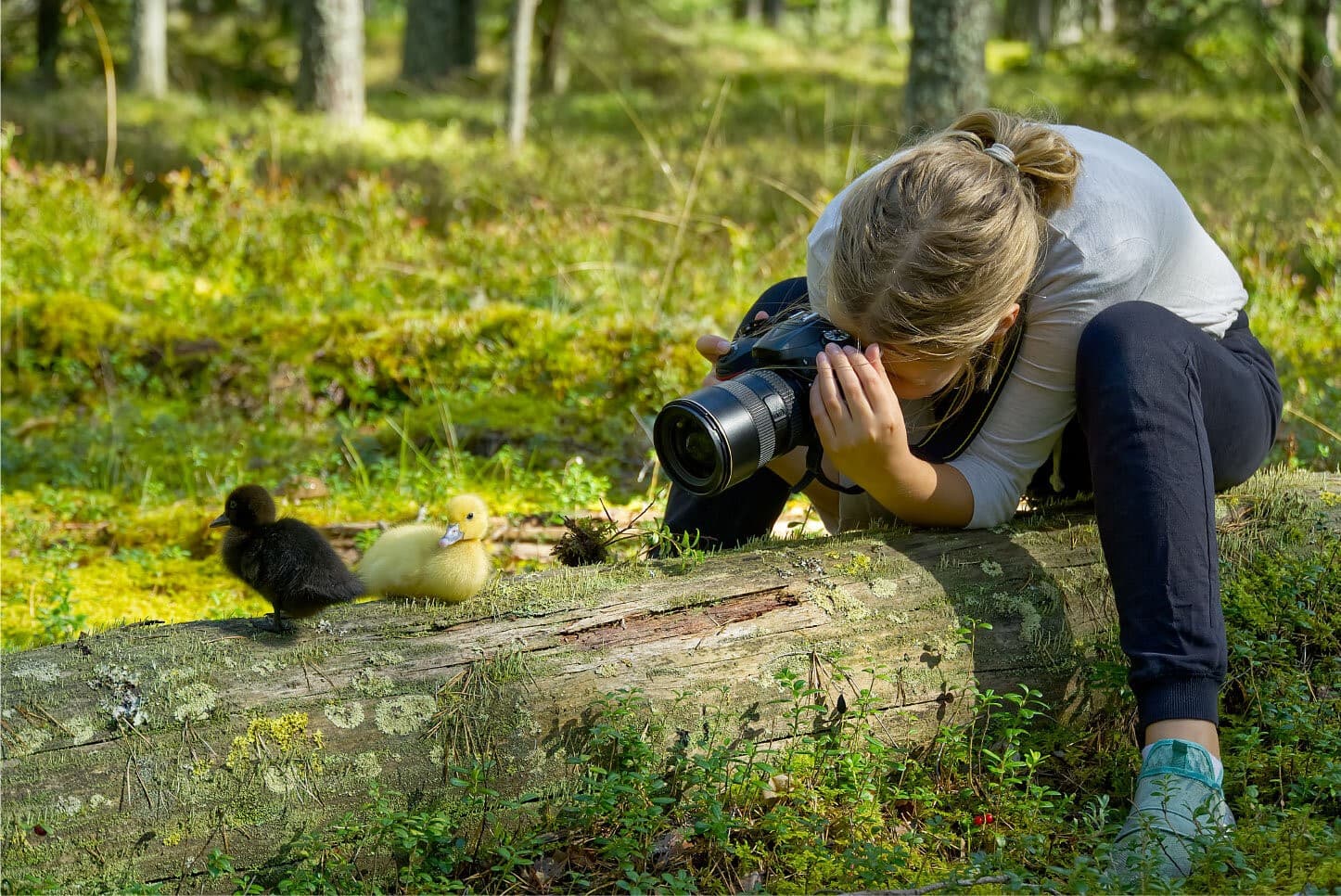 camera